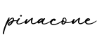 单词pinacone书写