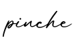 单词pinche书写