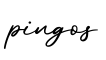 单词pingos书写