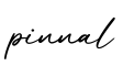 单词pinnal书写