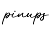 单词pinups书写