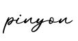 单词pinyon书写