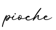 单词pioche书写