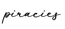 单词piracies书写