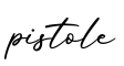 单词pistole书写