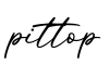 单词pittop书写
