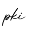 单词pki书写