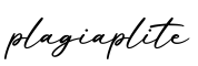 单词plagiaplite书写