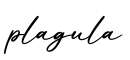 单词plagula书写