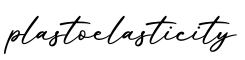 单词plastoelasticity书写