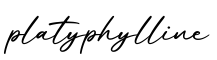 单词platyphylline书写