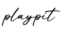 单词playpit书写