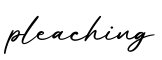 单词pleaching书写