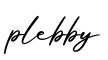 单词plebby书写