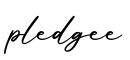 单词pledgee书写
