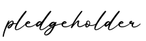 单词pledgeholder书写