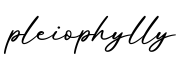 单词pleiophylly书写
