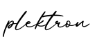 单词plektron书写
