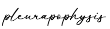 单词pleurapophysis书写