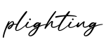 单词plighting书写