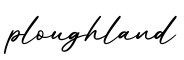 单词ploughland书写