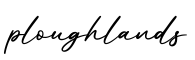 单词ploughlands书写