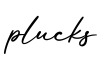 单词plucks书写