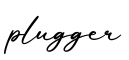 单词plugger书写