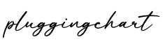 单词pluggingchart书写