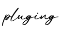 单词pluging书写