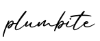 单词plumbite书写