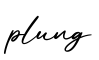 单词plung书写