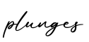 单词plunges书写