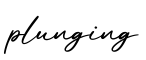 单词plunging书写