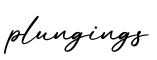 单词plungings书写