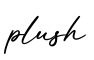 单词plush书写