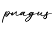 单词pnagus书写