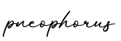 单词pneophorus书写
