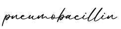 单词pneumobacillin书写
