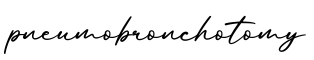 单词pneumobronchotomy书写