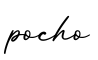 单词pocho书写