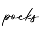 单词pocks书写