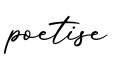 单词poetise书写