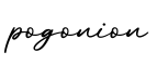 单词pogonion书写
