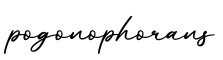 单词pogonophorans书写