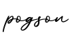 单词pogson书写