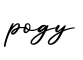 单词pogy书写