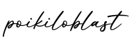 单词poikiloblast书写
