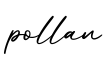 单词pollan书写