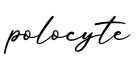 单词polocyte书写